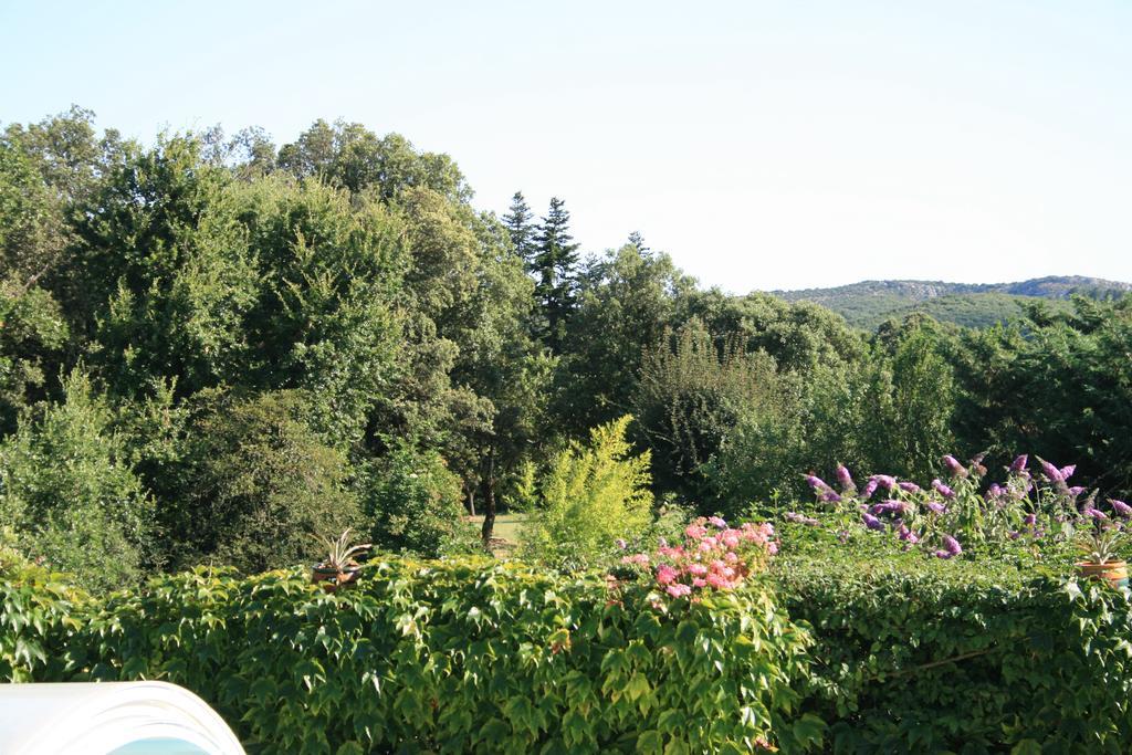 La Figalie Villa Saint Jean du Pin Exteriör bild