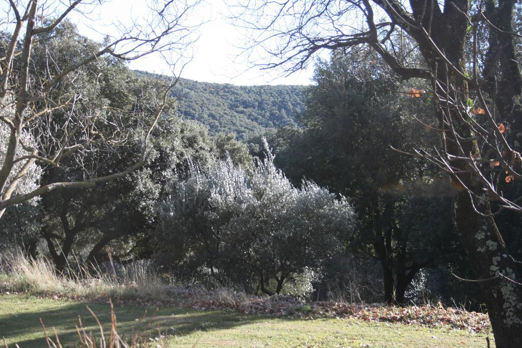 La Figalie Villa Saint Jean du Pin Exteriör bild